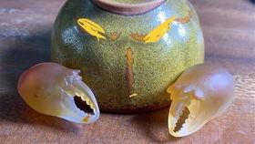 托叔吃瓜,揭秘娱乐圈背后的那些事儿