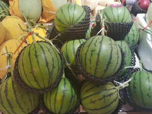 1次吃瓜,夏日清凉无限