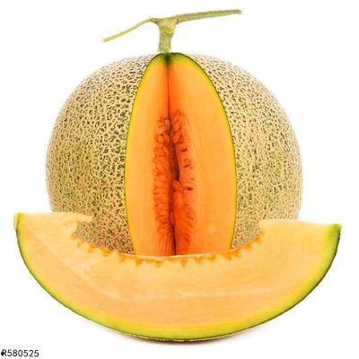 蝴蝶吃哈密瓜,哈密瓜香满园