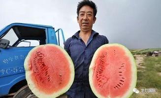 全国大型吃瓜,揭秘娱乐圈幕后风云