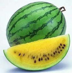 定西高铁上吃瓜,感受定西高铁的悠闲时光