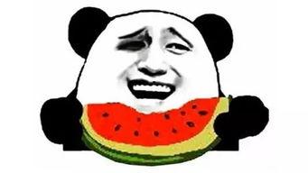 吃瓜的脑子,吃瓜群众视角下的娱乐圈风云录