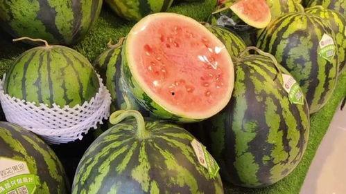 吃瓜的脑子,吃瓜群众视角下的娱乐圈风云录