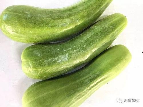 老瓜怎么吃啊,老瓜的多样食用方法揭秘