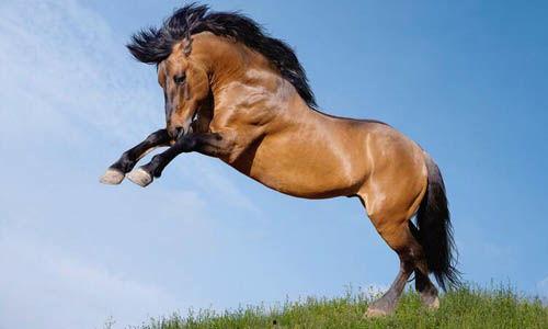 马爸爸吃瓜视频,揭秘娱乐圈幕后故事