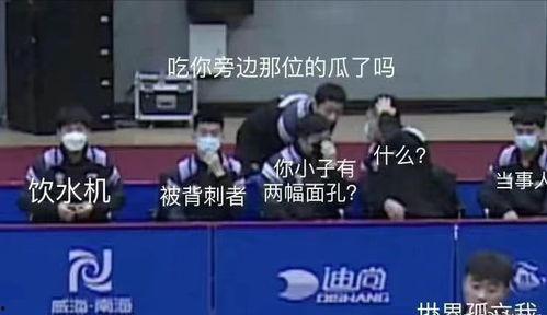 国乒吃瓜主场,吃瓜群众见证辉煌时刻