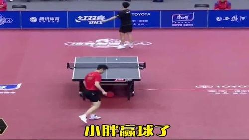 国乒吃瓜主场,吃瓜群众见证辉煌时刻