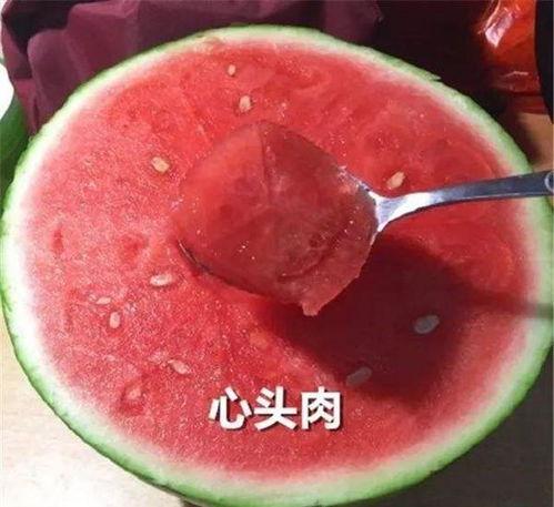 吃瓜理由,那些让人吃瓜不止的幕后真相